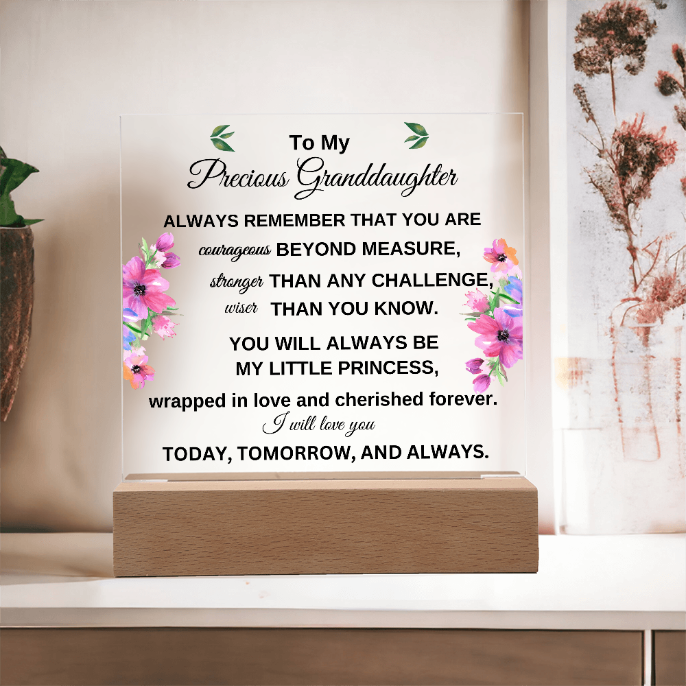To My Precious Granddaughter Acrylic Plaque – Heartfelt Gift of Love & Encouragement