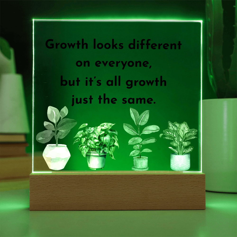 Inspirational Acrylic Display – Self Growth and Encouragement Gift