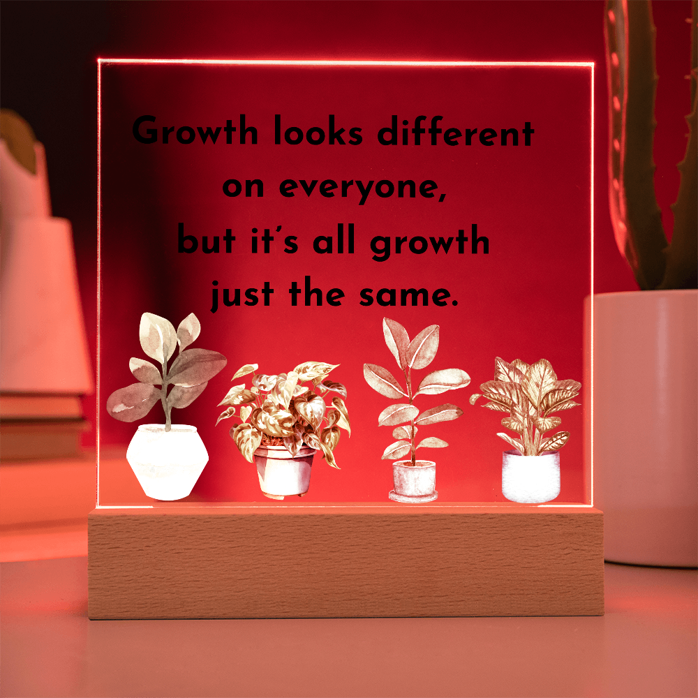 Inspirational Acrylic Display – Self Growth and Encouragement Gift